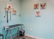 Thumbnail 14 of 37 - a grooming table in a dog grooming room with pictures of dogs on the wall at The Edison at Blue Springs, Blue Springs, MO