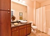 Thumbnail 9 of 22 - a bathroom with a sink and a toilet and a shower  at Aventura at Mid Rivers, St. Charles, MO