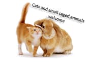 Thumbnail 8 of 38 - Cats & Small Caged Animals Welcome