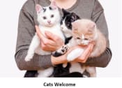 Thumbnail 2 of 10 - Cats Welcome