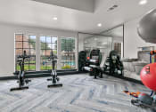 Thumbnail 19 of 47 - the gym at The Hudson, Texas