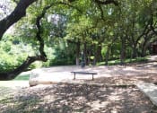 Thumbnail 32 of 47 - Picnic Area  at Carmel at Deerfield, San Antonio, Texas
