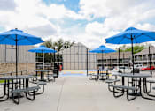Thumbnail 20 of 41 - Picnic And BBQ at Aero White Rock, Dallas, Texas