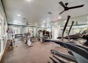 Thumbnail 18 of 47 - the gym is equipped with cardio equipment and weights