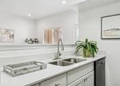 Thumbnail 3 of 40 - A modern kitchen with a stainless steel sink and a potted plant on the counter.