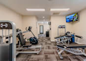 Thumbnail 19 of 20 - A gym with a variety of equipment including a treadmill, a rowing machine, and a bench press.