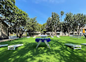 Thumbnail 9 of 38 - a picnic table in a yard with benches and picnic tables at Polo Clubs Apartments, Texas