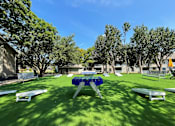 Thumbnail 6 of 38 - a picnic table in a yard with benches and picnic tables