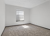 Thumbnail 26 of 45 - Plush Carpeting at Tradewinds, Texas, 78239