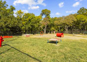 Thumbnail 38 of 60 - Dog Park
