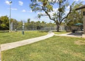 Thumbnail 26 of 60 - Sports Court - Tennis/Soccer at Maxwell Townhomes, San Antonio, Texas
