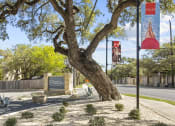 Thumbnail 1 of 60 - Welcome to Maxwell Townhomes! at Maxwell Townhomes, San Antonio, TX, 78230