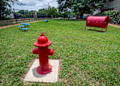Thumbnail 48 of 53 - A red fire hydrant sits on a patch of grass in a park.
