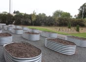 Thumbnail 47 of 54 - a row of pots filled with dirt and trees in the background