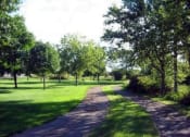 Thumbnail 16 of 54 - Sidewalks in a park with trees on both sides