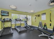 Thumbnail 12 of 17 - a gym with treadmills and other exercise equipment and windows