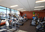 Thumbnail 8 of 13 - A gym with treadmills, exercise balls, and other equipment.