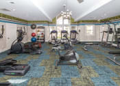Thumbnail 15 of 25 - Fitness Center