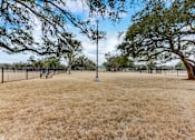 Thumbnail 39 of 59 - Dog Park in 78717 at Avery Ranch Apartments