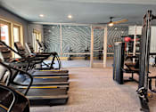 Thumbnail 4 of 21 - A gym with treadmills, elliptical machines, and a weight rack.