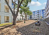 Thumbnail 111 of 127 - A tree in front of apartment buildings.