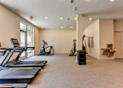 Thumbnail 17 of 46 - A spacious gym with treadmills, elliptical machines, and a weight bench.