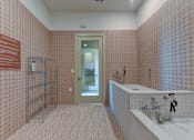 Thumbnail 31 of 103 - Pet spa with wash station and grooming area at Cantarra Apartments, Manor, TX