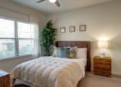Thumbnail 46 of 65 - Spacious Bedrooms at Paloma, Austin, Texas