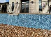 Thumbnail 49 of 65 - Paloma Apartments in Austin, TX