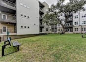 Thumbnail 79 of 140 - Courtyard green space with mature tree and benches at Matador Apartments, Austin, Texas