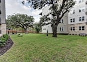 Thumbnail 80 of 140 - Community courtyard with mature oak trees and lawn at Matador Apartments, Austin