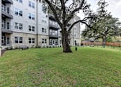 Thumbnail 81 of 140 - Courtyard lawn with mature oak trees and apartment buildings at Matador Apartments, Texas