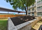 Thumbnail 34 of 44 - LArge old Oak tree in the community center courtyard at Bridge at Windsor Park