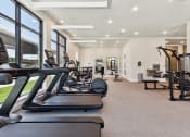 Thumbnail 21 of 44 - the gym fitness center with commercial exercise equipment at Bridge at Windsor Park
