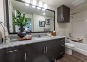 Thumbnail 9 of 65 - Bathroom of a spacious luxury apartment at Bridge at Paloma 78754 Northeast Austin