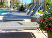 Thumbnail 60 of 65 - Resort-Style Pool at Paloma, Austin, Texas