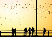 Thumbnail 40 of 46 - A group of people are standing on a bridge watching a flock of birds flying in the sky.