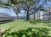 Thumbnail 29 of 80 - A tree in a grassy area in front of apartment buildings.