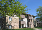 Thumbnail 14 of 14 - Exterior of Brighton Cove on a sunny day. Big bright green tree is in front of the building.