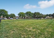 Thumbnail 20 of 29 - A large grassy field with trees and a fence in the background.