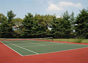 Thumbnail 17 of 18 - a tennis court with trees in the background