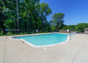 Thumbnail 12 of 17 - Outdoor pool surrounded by trees