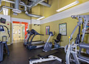 Thumbnail 18 of 20 - a gym with cardio machines and weights at the enclave at woodbury at Village Club of Royal Oak, Royal Oak Michigan