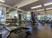 Thumbnail 22 of 26 - a gym with weights and other exercise equipment and windows at Village Club of Farmington Hills, Michigan, 48331