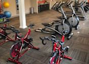 Thumbnail 12 of 18 - a room full of bikes and weights in a gym