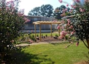 Thumbnail 3 of 47 - A building with a patio and a tree with pink flowers in front.