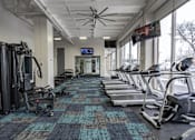 Thumbnail 13 of 47 - the gym at the flats at big tex apartments