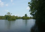 Thumbnail 17 of 17 - Huron River in Ann Arbor with green trees surrounding