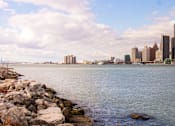 Thumbnail 9 of 66 - View of the Detroit River and skyline