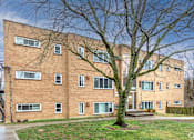 Thumbnail 1 of 10 - A tree in front of a brick building with a metal staircase on the left.